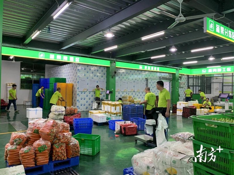 广西绿色八桂生态农业：寻找最优质的农产品供应商
