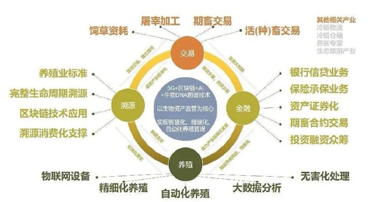 生态农业:一片绿色的希望