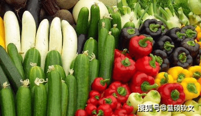 生态农业:从自然中汲取智慧
