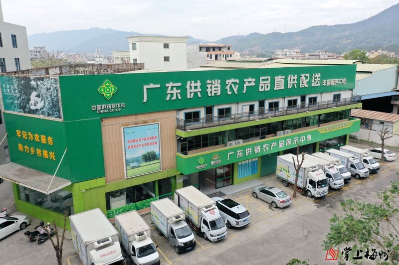广西绿色八桂生态农业，一个致力于提供天然、无污染的高品质农产品供应商。今天我们就来聊聊如何选择合适的农产品供应商。