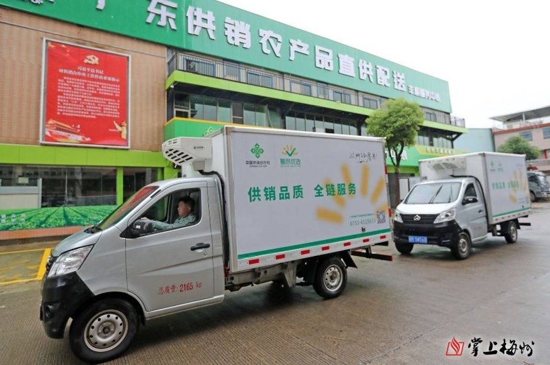 农产品供应商的选择对于消费者来说至关重要，如何挑选到可靠的合作伙伴？今天我们就来聊聊这个话题。